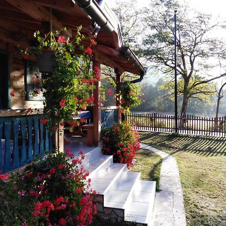 Apartment Bajka Mokra Gora Buitenkant foto